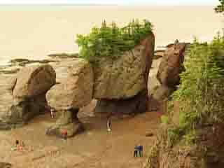 صور Fundy National Park متنزه وطني